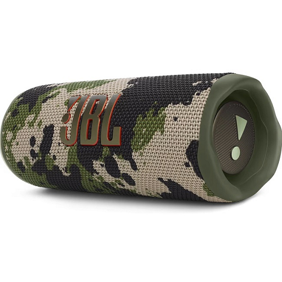 Колонка портативная JBL Flip 6 Squad