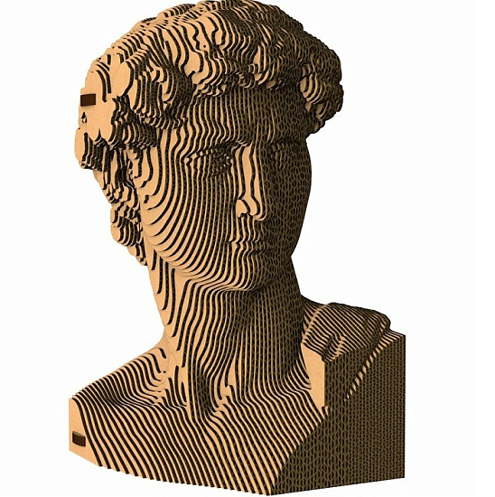 Картонный 3D конструктор QBRIX Давид
