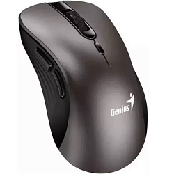 Мышь БП GENIUS Ergo 8100S титан