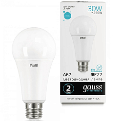 Лампа светодиодная GAUSS Elementary A67 30W/4100K/E27