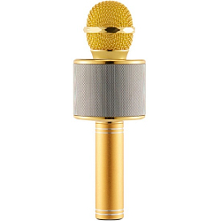 Микрофон БП Караоке WS-858 золото