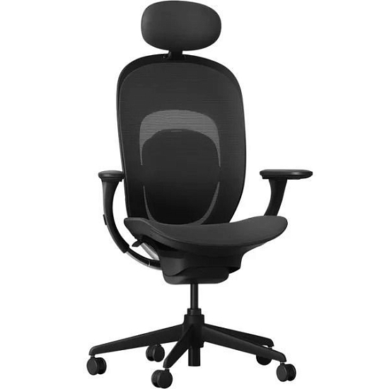 Кресло ортопедическое YMI Ergonomics Chair - Black