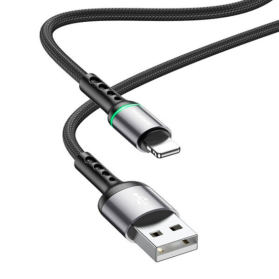 Кабель USB <--> Lightning  1.0м BOROFONE BU33 черный