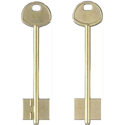 Заготовка ключа Гардиан-6 103*22,4*17,7 мм, лат., б/п