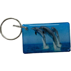 Ключ для домофона "Дельфинчики"