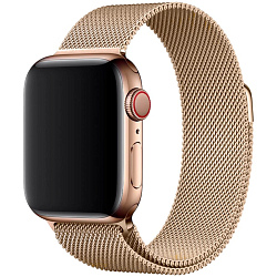 Металлический браслет NONAME на Apple Watch (38/41), миланская петля, золотой