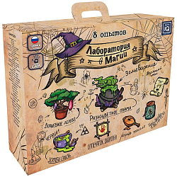 Набор для опытов Лаборатория магии 025 712-642