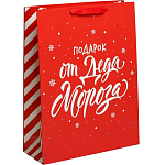 Пакет «Подарок от Деда Мороза», L 31×40×11.5 см