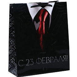 Пакет «С 23 февраля», ML 21×25×8 см