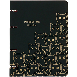 Тетрадь на кольцах А5, 100 листов в клетку MESHU Amazing cats, обложка мелованный картон, матовая ламинация, выборочный УФ-лак