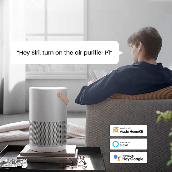 Очиститель воздуха Smartmi Air Purifier P1 (ZMKQJHQP12), ZMKQJHQP12 Silver