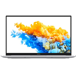 Ноутбук 16.1" Honor MagicBook Pro HBB-WAH9PHNL silver (Core i5 10210U/16Gb/512Gb SSD/MX350 2Gb/NFC/W10) (53011MAL)