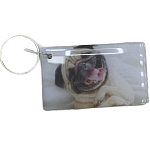 Ключ для домофона "Мопс"