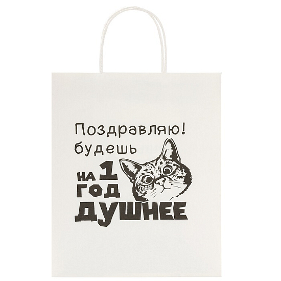 Пакет 26х13х32см (L) "Funny Notes",МИКС ЗОЛОТАЯ СКАЗКА, 700824
