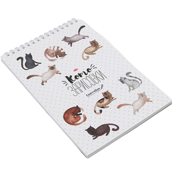 Скетчбук «Кот» А5, 40 л, 100 г/м 1825575