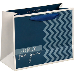 Пакет двухсторонний, упаковка, «Для тебя», MS 18 х 23 х 10 см