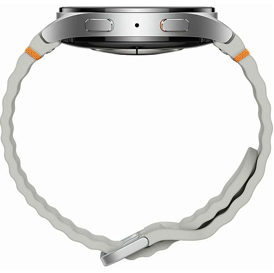Умные часы Samsung Galaxy Watch 7 L315 44mm серебристый LTE
