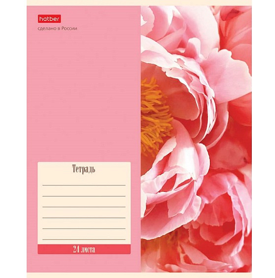 Тетрадь 24л., линия Hatber "Flowers" 24Т5В2