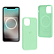 Задняя накладка Silicone Casе для iPhone 12 Pro Max Pistachio (MagSafe + анимация NFC) c LOGO