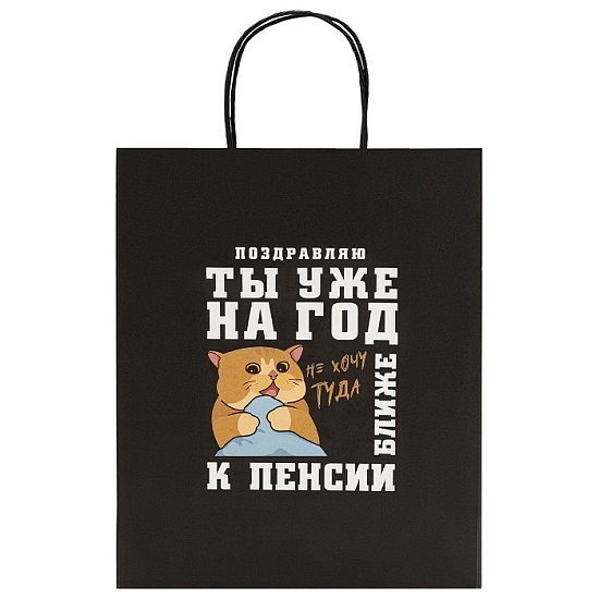 Пакет 26х13х32см (L) "Funny Notes",МИКС ЗОЛОТАЯ СКАЗКА, 700824