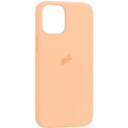 Задняя накладка Silicone Casе для iPhone 12 Pro Max Cantaloupe (MagSafe + анимация NFC) c LOGO