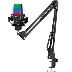 Микрофон RITMIX RDM-270 Black