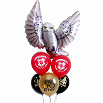 Набор шаров "Сова", в наборе 6 шт. 9623289