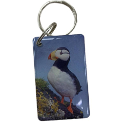 Ключ для домофона "Птица"