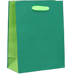 Пакет двухцветный «Зеленый-салатовый», S 12 х 15 х 5.5 см 9612654