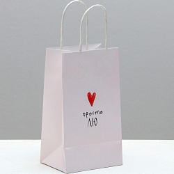 Пакет подарочный крафтовый «Просто Лю», 12 × 21 × 9 см   4753218