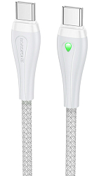 Кабель Type-C <--> Type-C  1.0м BOROFONE BX100 Advantage, серый, 60Вт