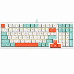 Клавиатура A4TECH Fstyler FS300, белый (PANDA SNORKLENING)