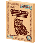 Выжигание. Доски для выжигания 5 шт "Без рисунка. Для собственных идей"