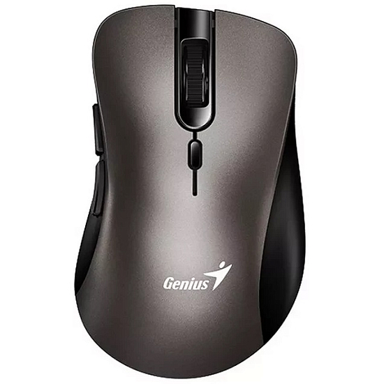 Мышь БП GENIUS Ergo 8100S титан