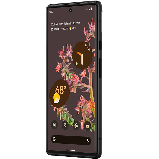 Смартфон Google Pixel 6 128 Stormy Black