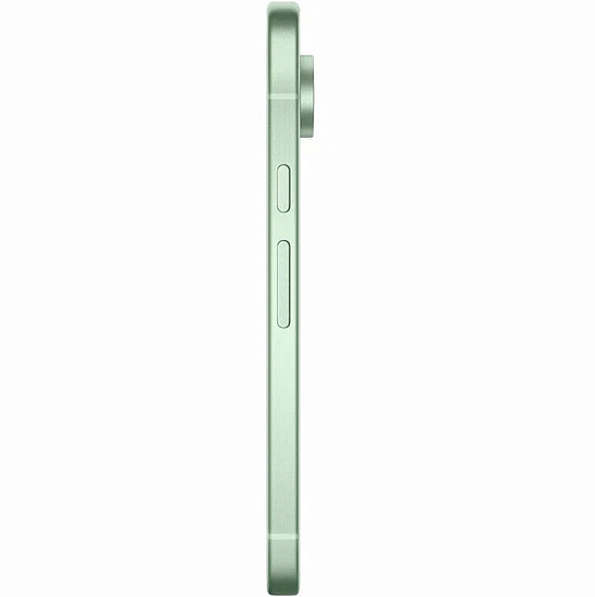 Смартфон Google Pixel 9 256 Wintergreen (US)