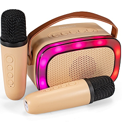 Колонка портативная + 2 микрофона EXEGATE Bro 330