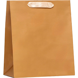 Пакет «Коричневый», 23 х 27 х 11.5 см 9494163