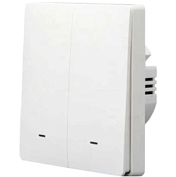 Умный выключатель wi-fi, с Алисой, двухклавишный, встраиваемый