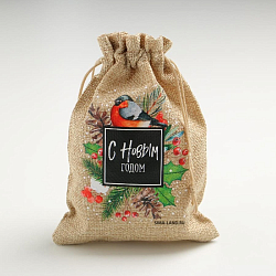 Мешок с термонаклейкой «Снегирь», 13 х 18 см +/- 1.5 см