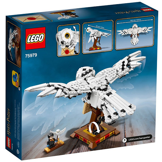 Конструктор LEGO Harry Potter 75979 Букля