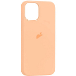 Задняя накладка Silicone Casе для iPhone 12 Pro Max Cantaloupe (MagSafe + анимация NFC) c LOGO