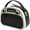 Радиоприемник RITMIX RPR-040 WHITE
