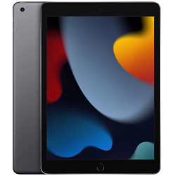 Планшет iPad 10.2" (2021) 64Gb Wi-Fi Space Gray