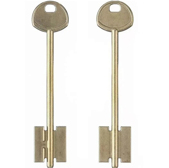 Заготовка ключа Гардиан-8 116*22*24,6 мм, лат., б/п