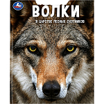 Волки. В царстве лесных охотников. Энциклопедия А4 с развивающими заданиями