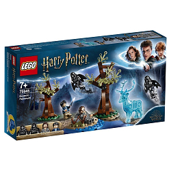 Конструктор LEGO Harry Potter 75945 Экспекто Патронум! 