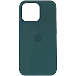 Силиконовый чехол SILICONE CASE для iPhone 13 Pro Eucalyptus (MagSafe + анимация NFC) c LOGO