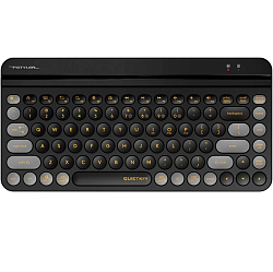 Клавиатура A4TECH Fstyler FBK30 черный/серый