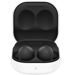 Наушники Samsung Galaxy Buds 2 (SM-R177) графитовый
